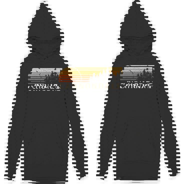 キャノンデール、Ct ヴィンテージ エバーグリーン サンセット 80年代 レトロ パーカー