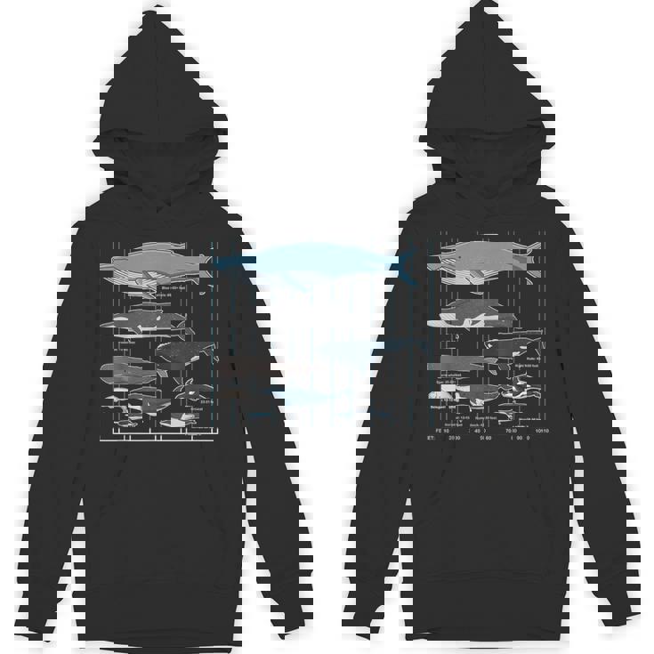クジラの種類 Hoodie