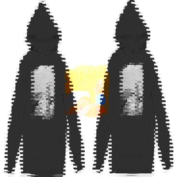 クラシックブルーヨーヨーの猫 パーカー