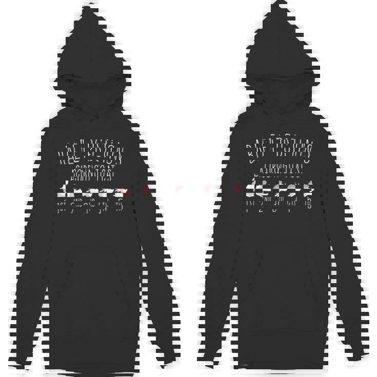 バレエダンサーギフト バレリーナ 猫による5つのポジション パーカー