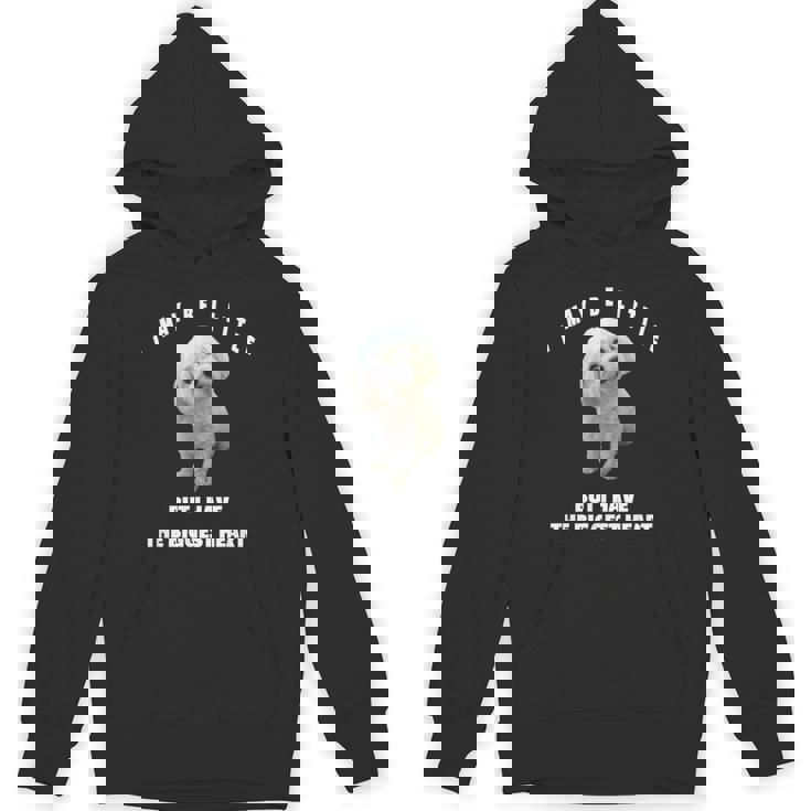 マルチーズ犬デザイン 面白い引用句 マルチプー ミックスオーナー パーカー