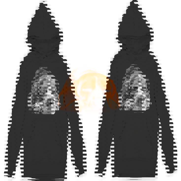 レイジービーグル パーカー