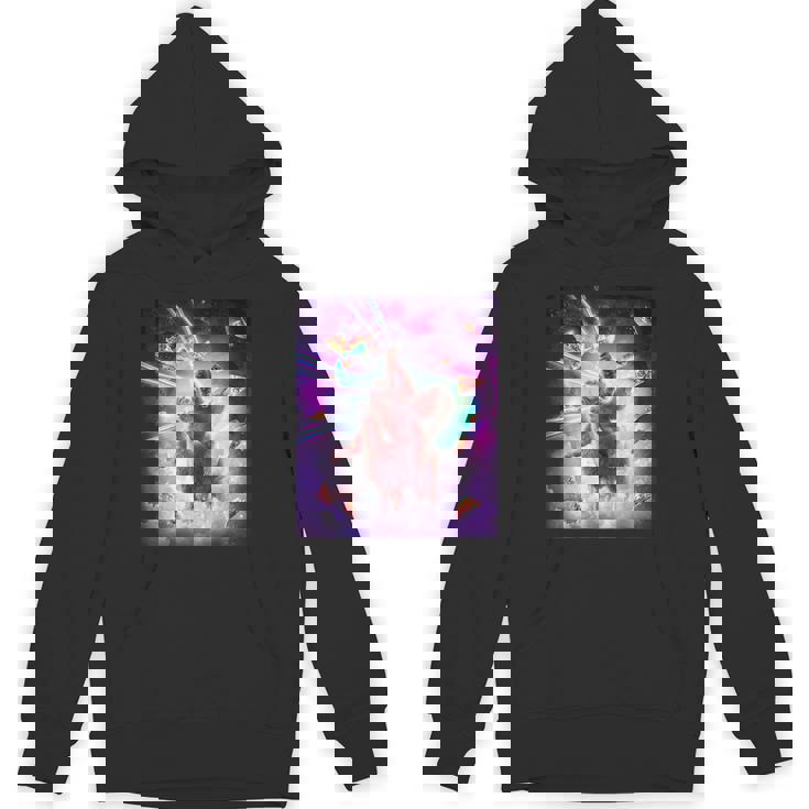 レーザーアイズスペースキャットライディングナマケモノ、ラマ-レインボー パーカー