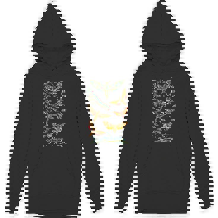 ヴィンテージ蛾 科学ギフト 昆虫 虫 イラスト Hoodie