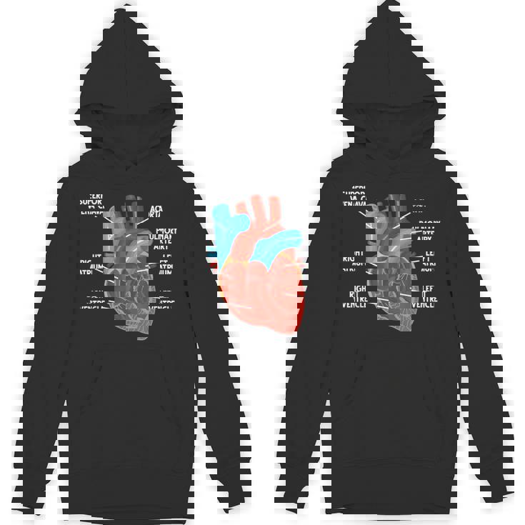 心臓解剖学教育 循環器学 パーカー