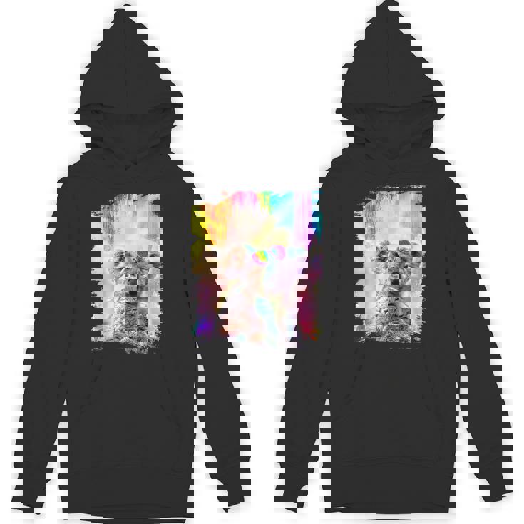 愛のハートのメガネをかけているレインボーコアラ Hoodie