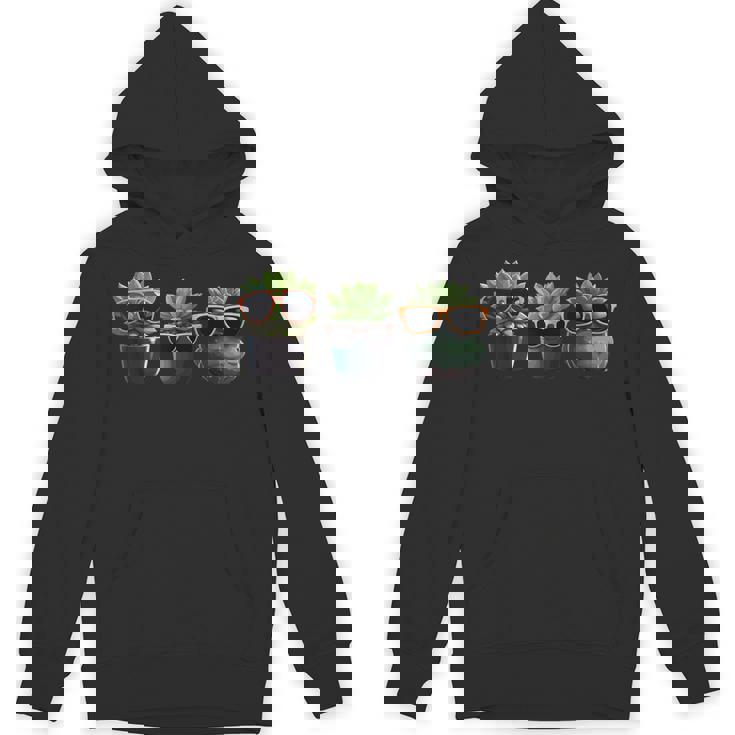 鉢植えのかわいい多肉植物 鉢植え 多肉植物 パーカー