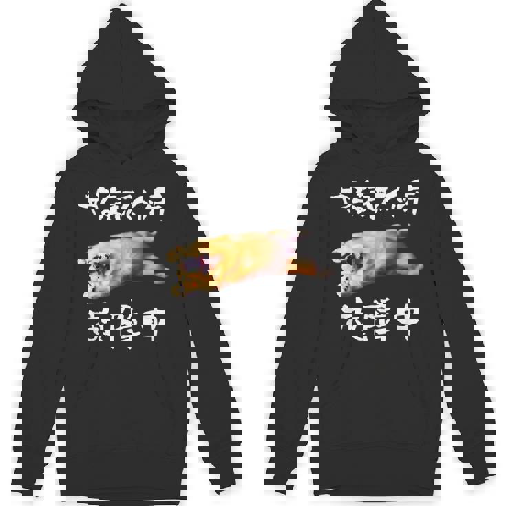 面白いtシャツ ゴールデンレトリバー やる気スイッチ イヌ メンズ グッズ おもしろ 面白い 服 ネタ Hoodie