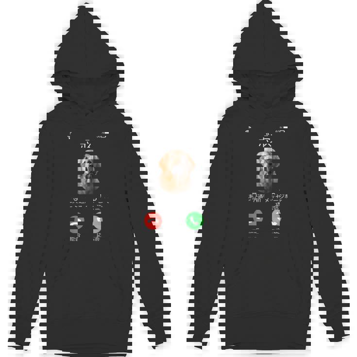 面白いtシャツ ゴールデンレトリバー 着信 犬 イヌ メンズ グッズ かわいい おもしろ 面白い 服 ネタ パーカー