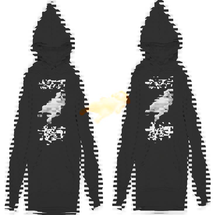 面白いtシャツ シーズー やる気スイッチ イヌ わんこ メンズ 犬好き グッズ おもしろ 面白い 服 ネタ Hoodie