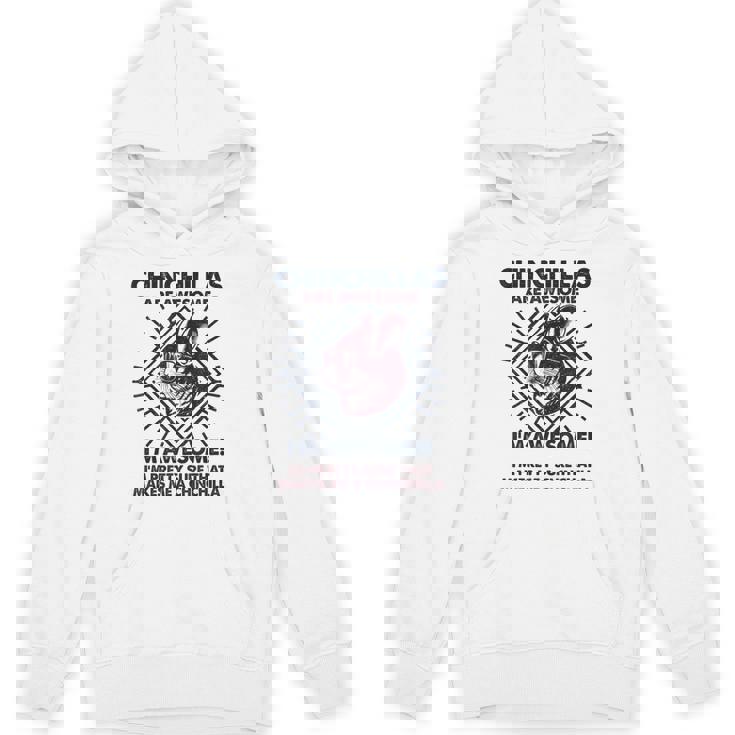 Chinchillas Are Awesome 面白いチンチラママパパ パーカー