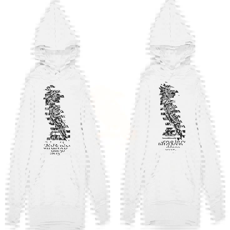 Golfo De Mexico Desde 1550 Crow Gulf Of Mexico Gulf Coast Hoodie