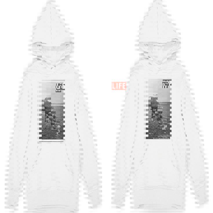 Life Picture Collection 馬と猫（1） パーカー