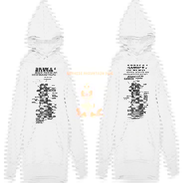 かわいい犬の説明 バーニーズ・マウンテン・ドッグの解剖学 パーカー