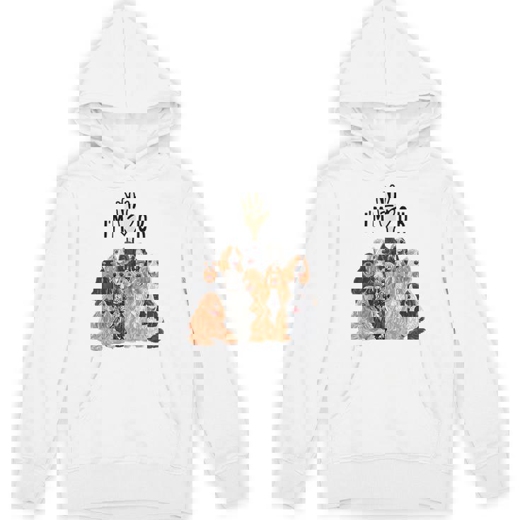 イングリッシュコッカースパニエルがいっぱい パーカー