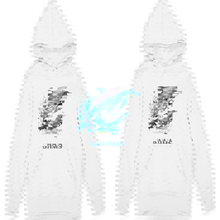 ドルフィン バケーション ヴィンテージ バハマ ビーチ デスティネーション パーカー