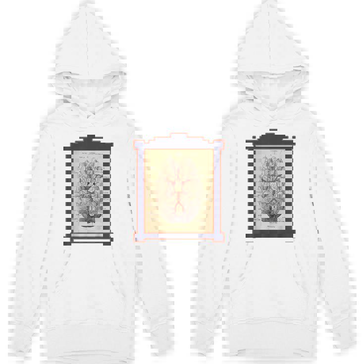 ヴィンテージ 人間の脳 解剖図 パーカー