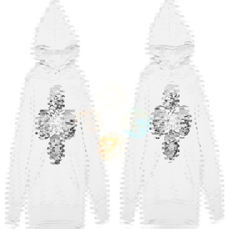 四神 青龍 白虎 朱雀 玄武 四象 東西南北 バックプリント パーカー