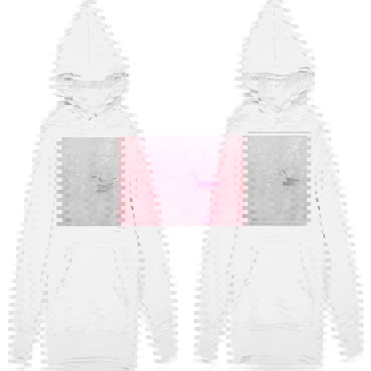 詩とメルヘン 葉祥明 私のネッシー パーカー