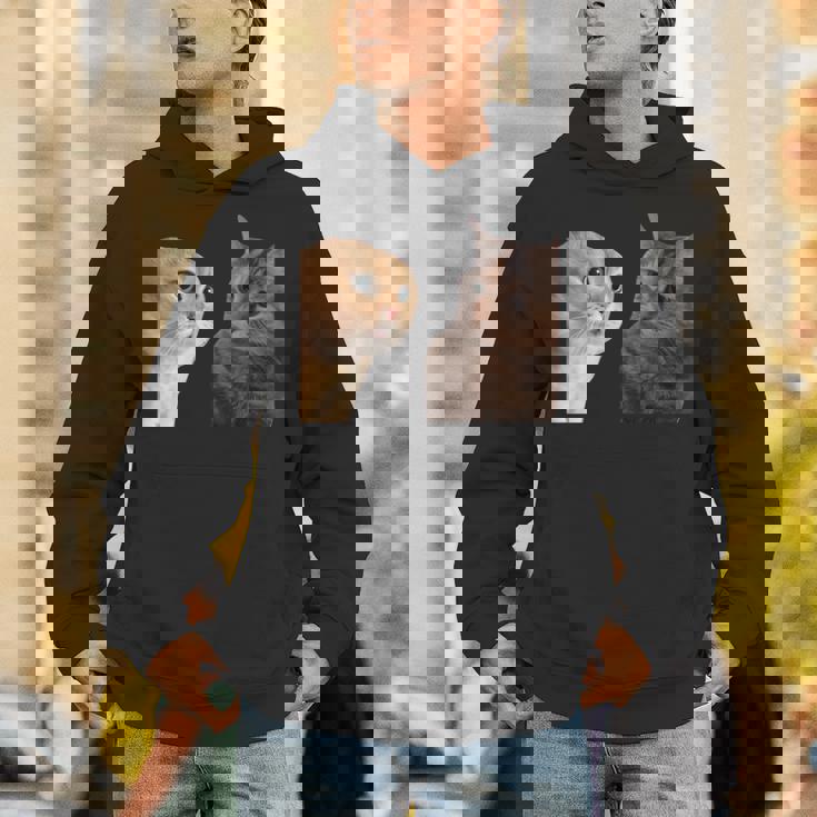 2匹の猫がミームを話す 長袖tシャツ パーカー