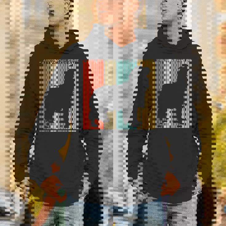 Cavalier King Charlespaniel キャバリア・キング・チャールズ・スパニエル パーカー