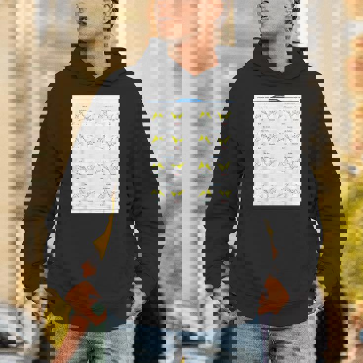 Fox Trading ハーモニックパターン パーカー