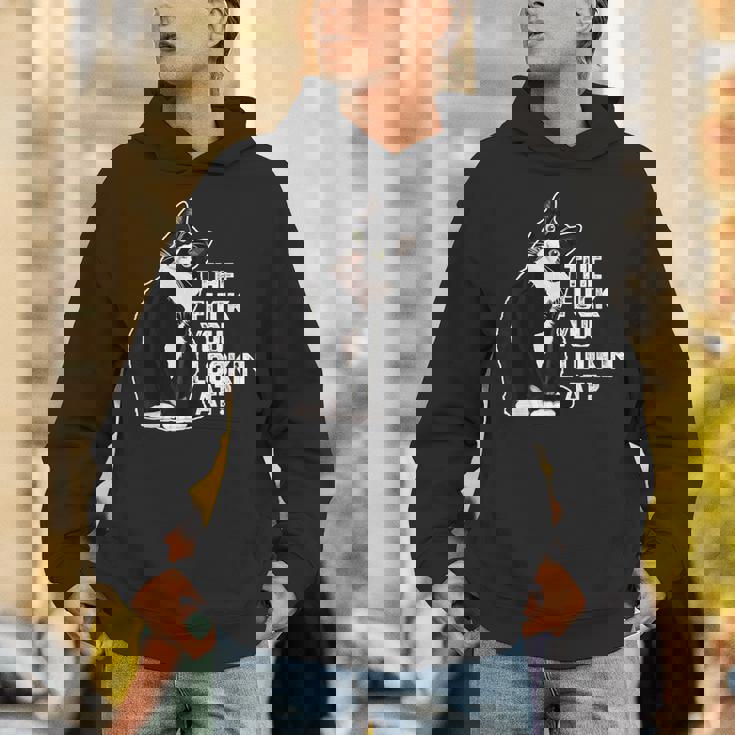 The Fuck You Lookin At 猫好きのための面白い下品なノベルティ パーカー