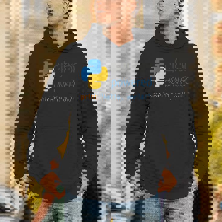 Pythonプログラマーティーコンピューター開発者 Hoodie