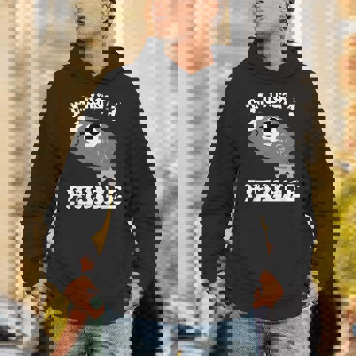 アイム・ジャスト・ア・ペブル・ダンディーズ・ワールド パーカー