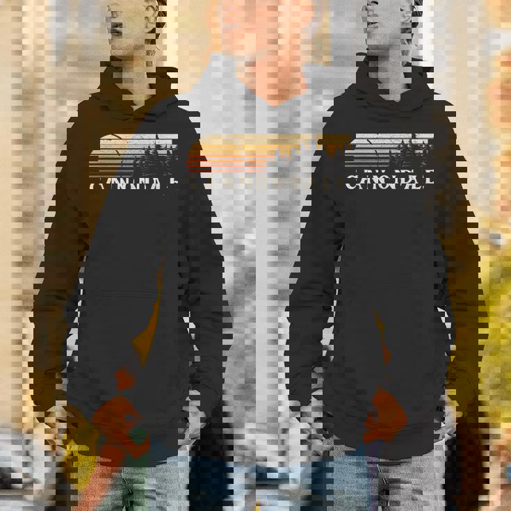 キャノンデール、Ct ヴィンテージ エバーグリーン サンセット 80年代 レトロ パーカー