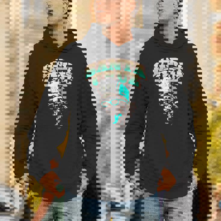 クラシック カリフォルニア スケーター サンタクルーズ パーカー