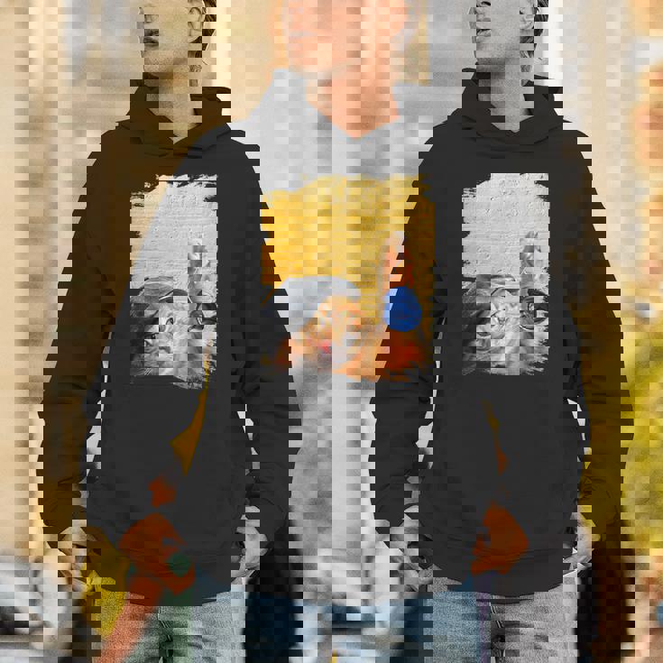 クラシックブルーヨーヨーの猫 パーカー