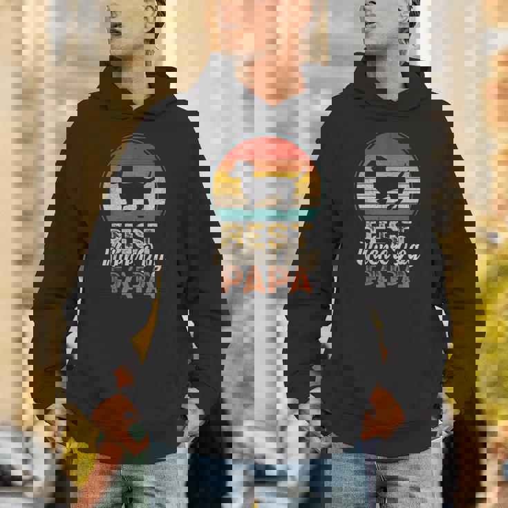 ベスト・ウィンナー・ドッグ・パパ、ダックスフント Hoodie