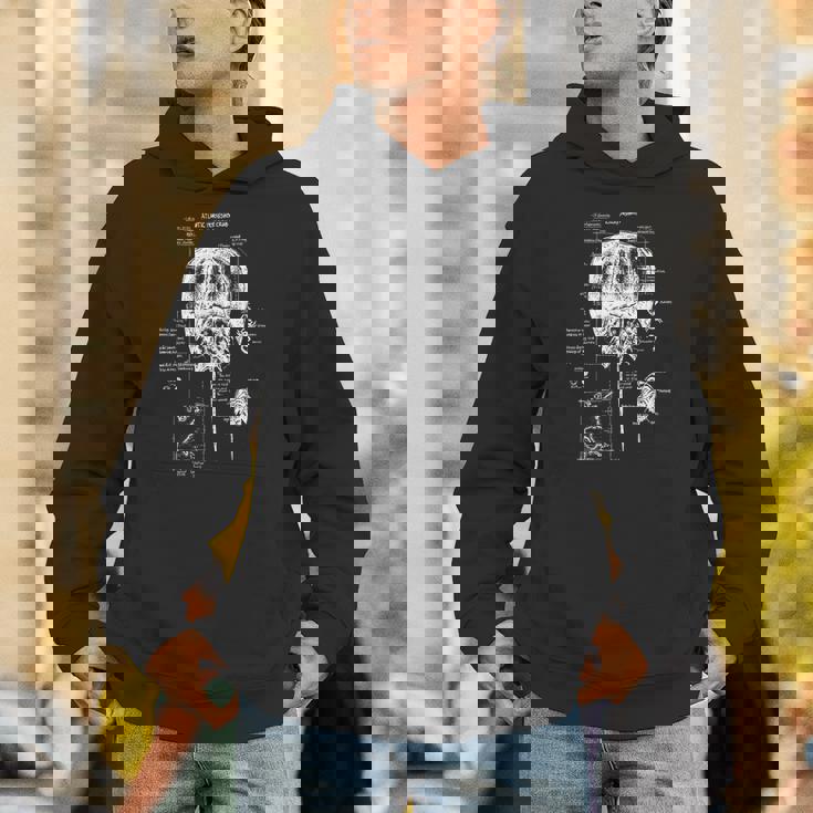 大西洋カブトガニ 解剖学 海洋生物学 海洋動物 パーカー