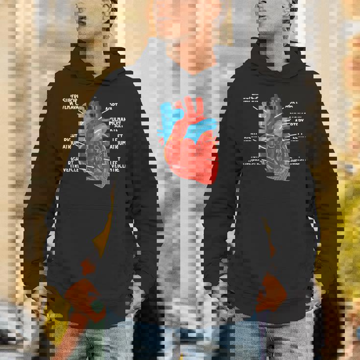 心臓解剖学教育 循環器学 パーカー