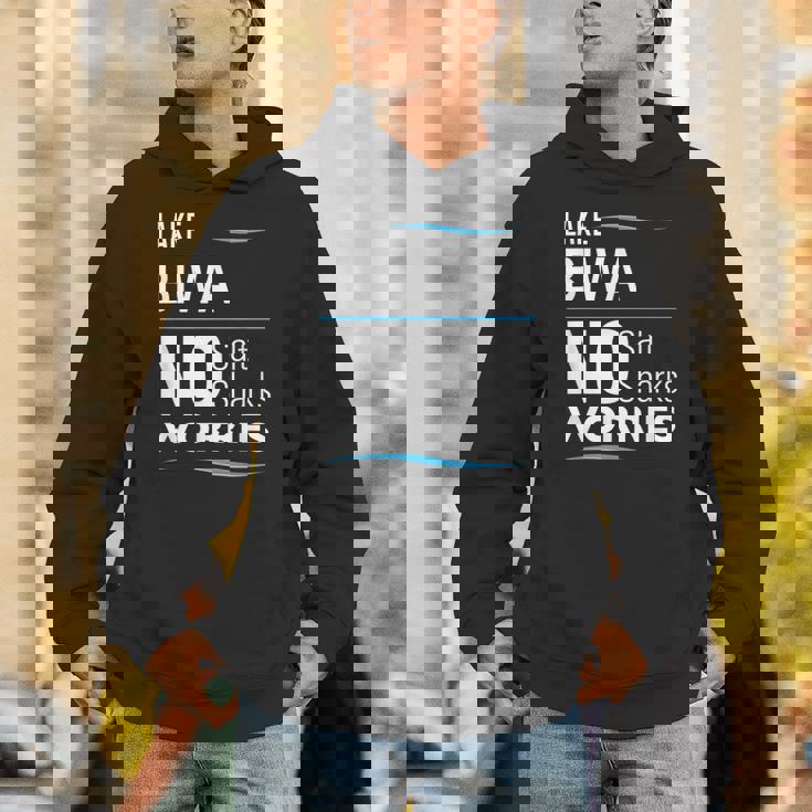 湖 ビワ ファニー パーカー