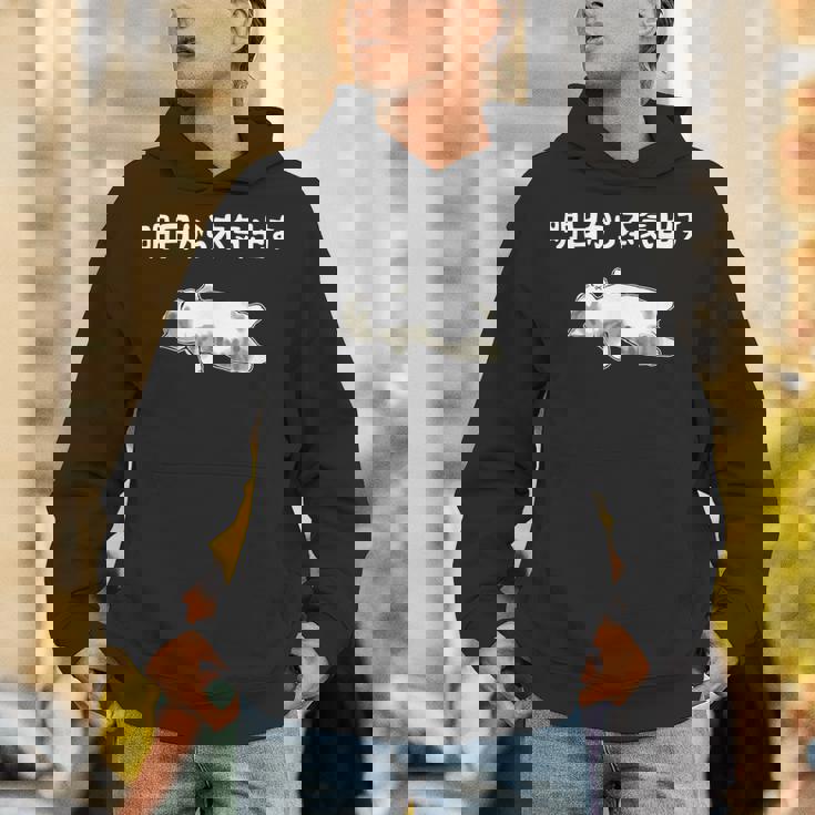 猫好きのためのデザイン メンズ レディース 半袖 明日から本気出す猫のことわざ おもしろ ネタ パーカー