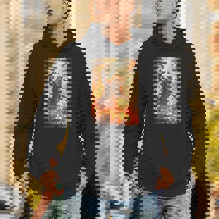 面白いレトロ日本の怪獣モンスター猫セルフィー東京ufo パーカー