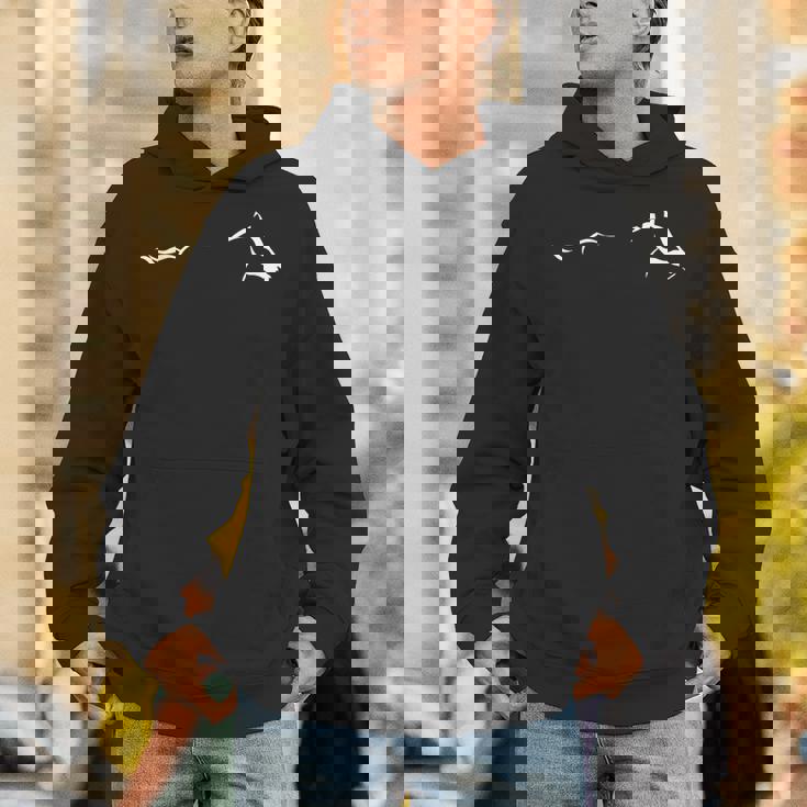 馬好きデザイン 馬を愛する人への贈り物に Hoodie