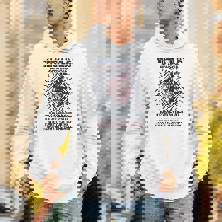 Chinchillas Are Awesome 面白いチンチラママパパ パーカー