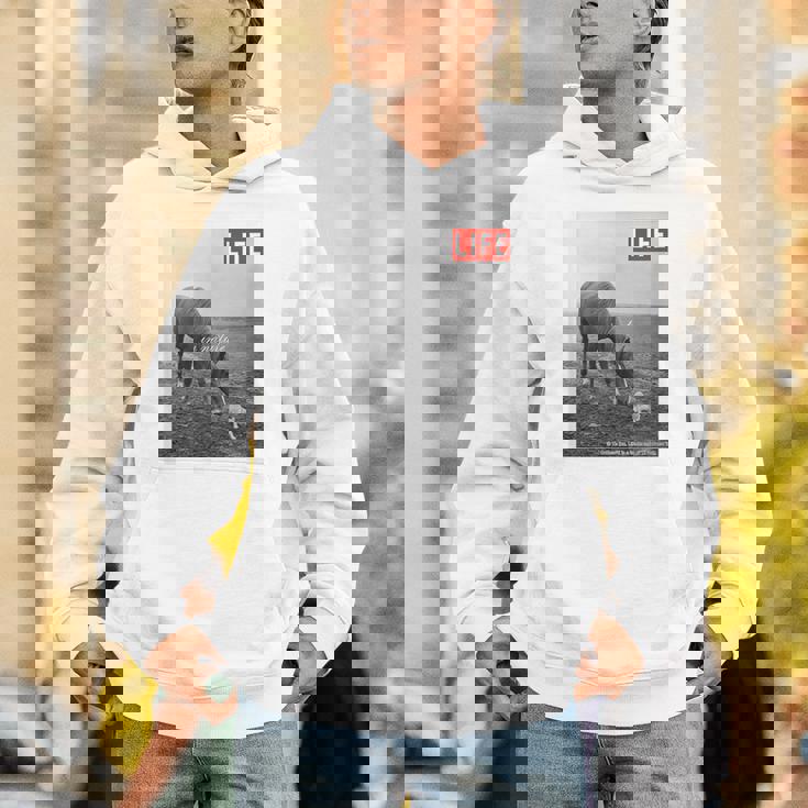 Life Picture Collection 馬と猫（1） パーカー