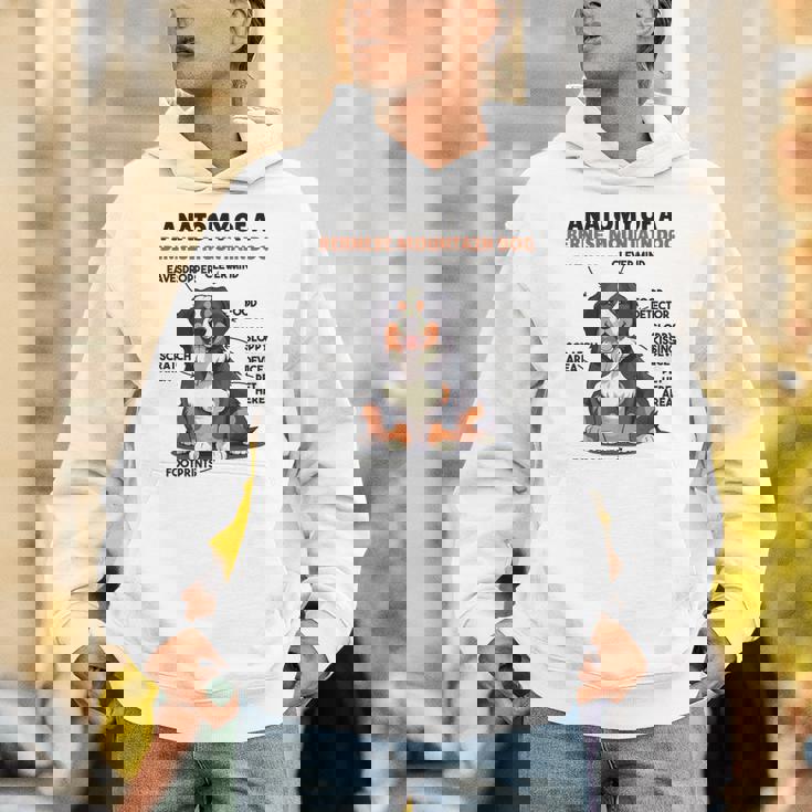 かわいい犬の説明 バーニーズ・マウンテン・ドッグの解剖学 パーカー