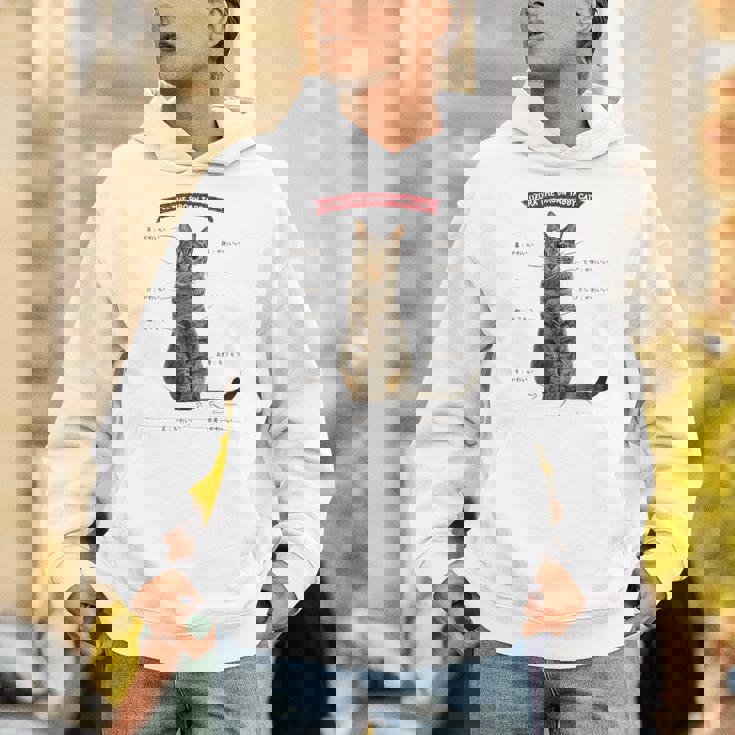 キジトラねこ、うずら 猫 キジトラ猫 鶉 かわいい Cat （ホワイト） パーカー