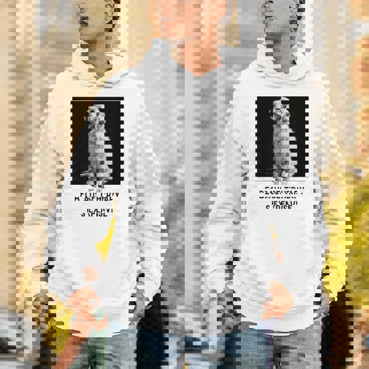 ゴールデンレトリーバー セラピー 、ゴールデンレトリーバー オーナーギフト パーカー