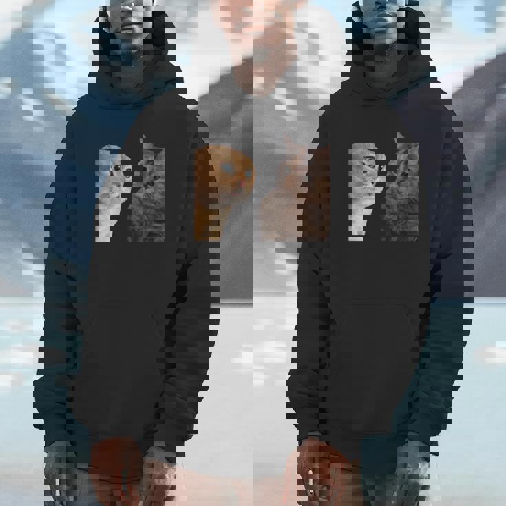 2匹の猫がミームを話す 長袖tシャツ パーカー