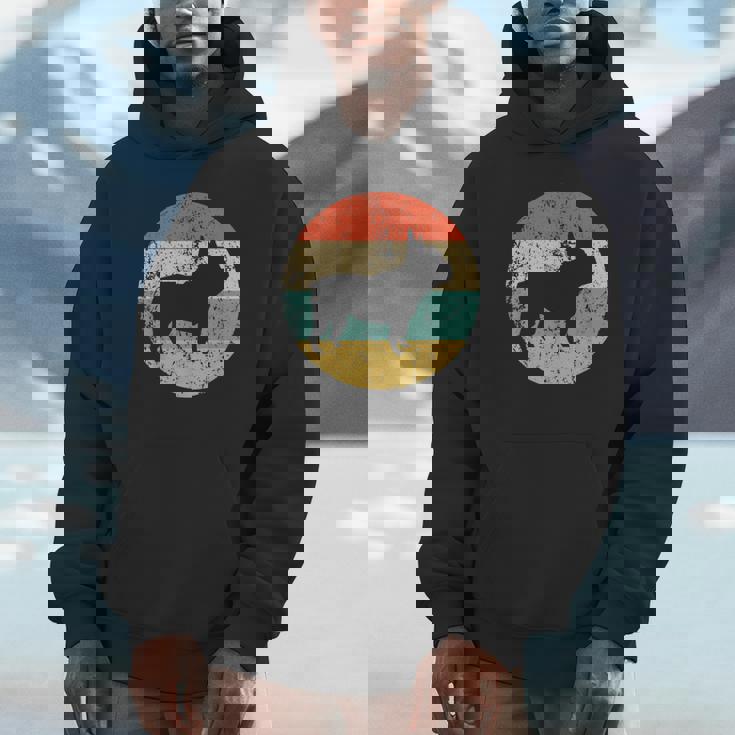 French Bulldog Retro Dog Unisex Hoodie