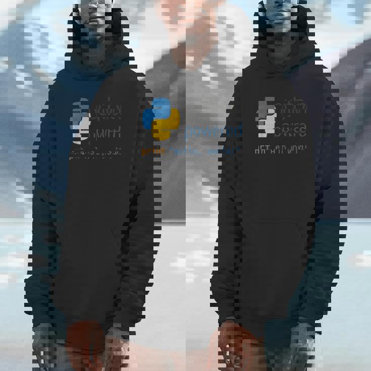 Pythonプログラマーティーコンピューター開発者 Hoodie