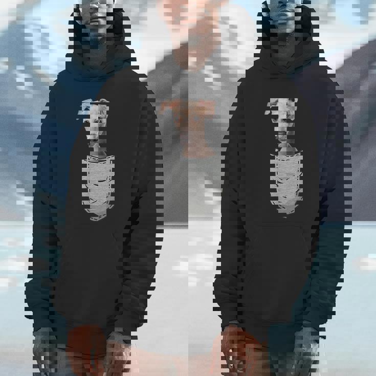 イタリアングレイハウンド ウィペットチェストバッグ 犬の飼い主用 パーカー