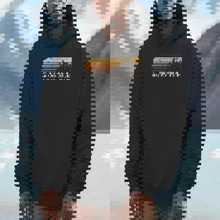 キャノンデール、Ct ヴィンテージ エバーグリーン サンセット 80年代 レトロ パーカー