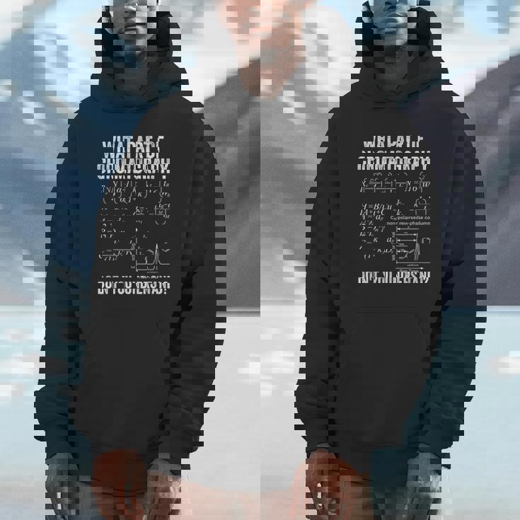 クロマトグラムとフォーミュラでクロマトグラフィーを理解する Hoodie